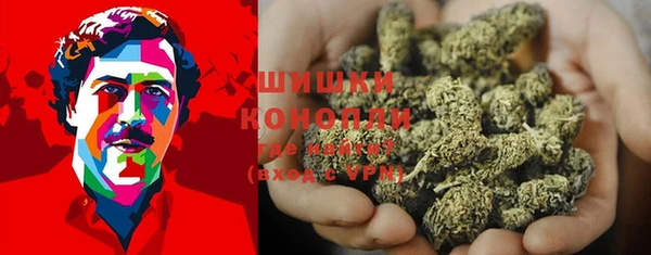 шишки Усмань